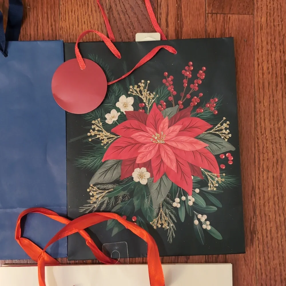 Colorful Gift Bags and Tissue Paper Set